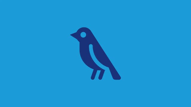 Featured image for X social listening - The impact of Twitter becoming X