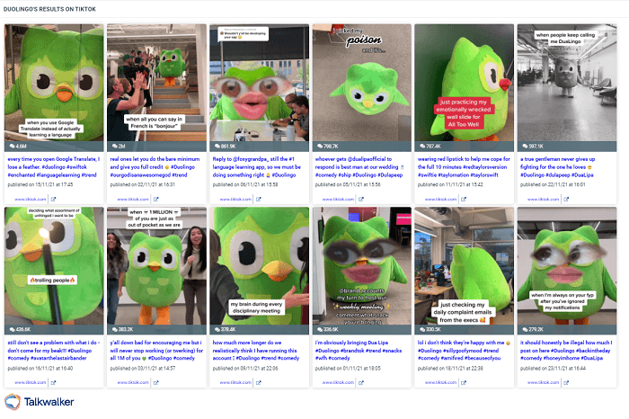 DuolingoはTikTokアカウントにフクロウのマスコットを追加しました。様々なシチュエーションでのアオバズクの画像があります。